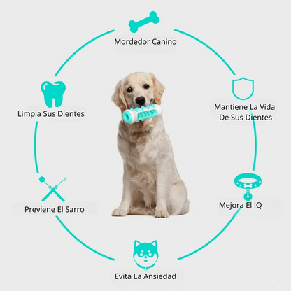 DentiCool® Life | Mastica, Limpia y Entretiene