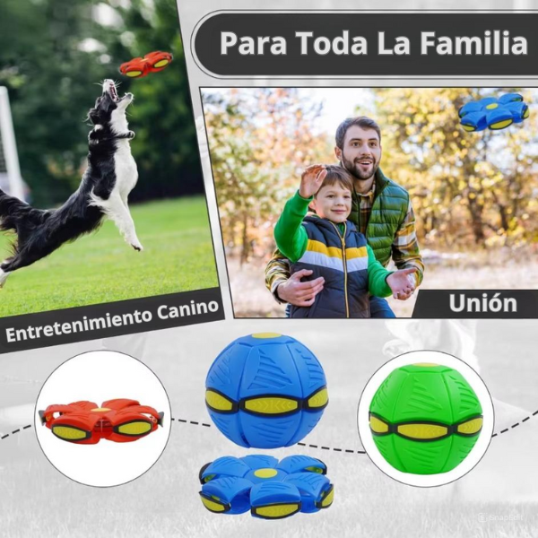 Petlyta® Frisby | Juguete Interactivo Con 3 Modos De Luz Para Perros y Niñ@s - ¡Diversión Sin Fin!